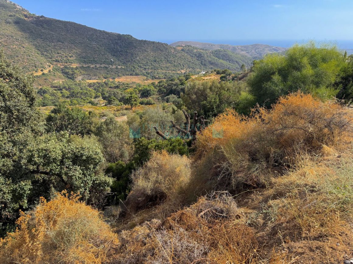 Residential Plot for sale in Benahavis