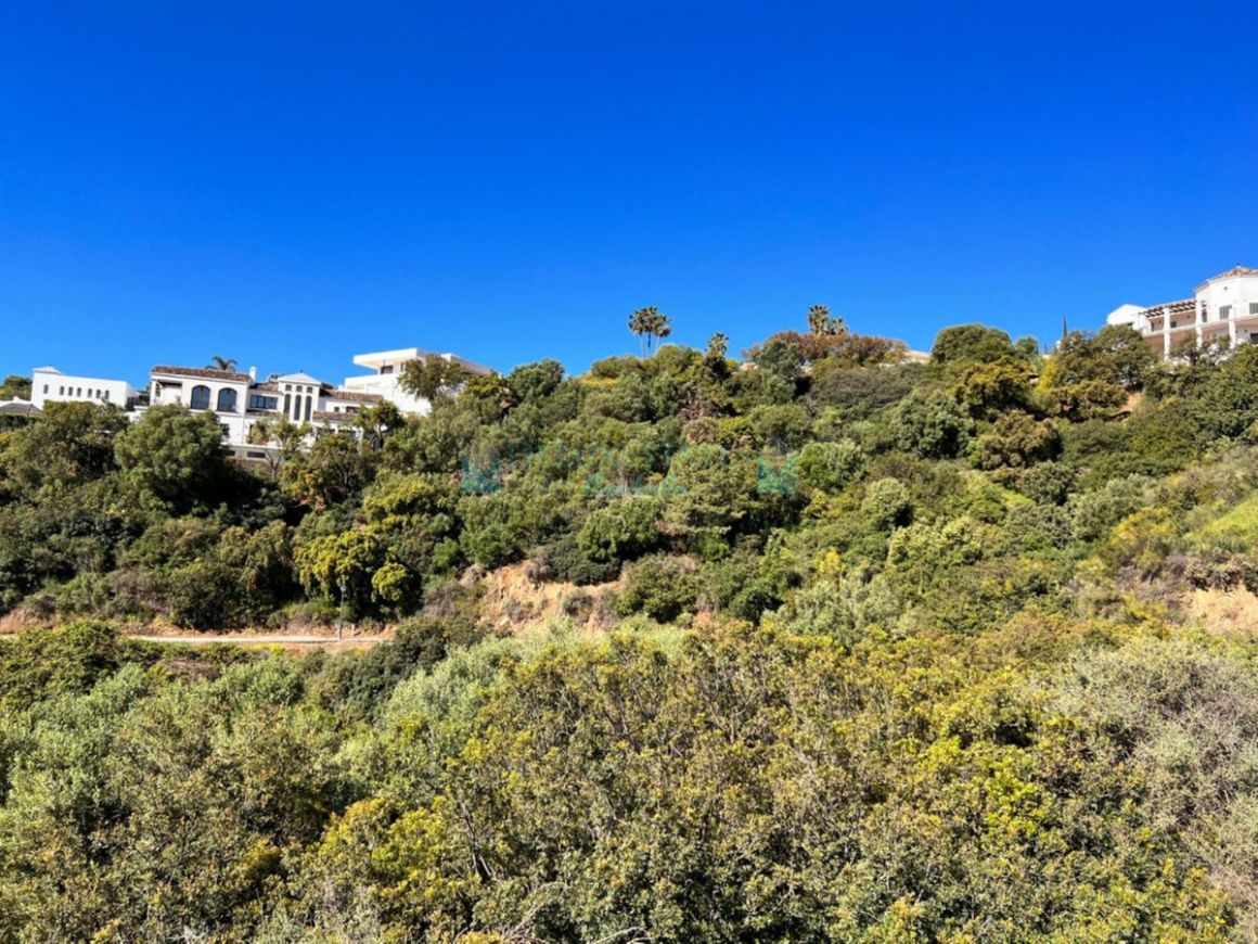 Residential Plot for sale in Benahavis