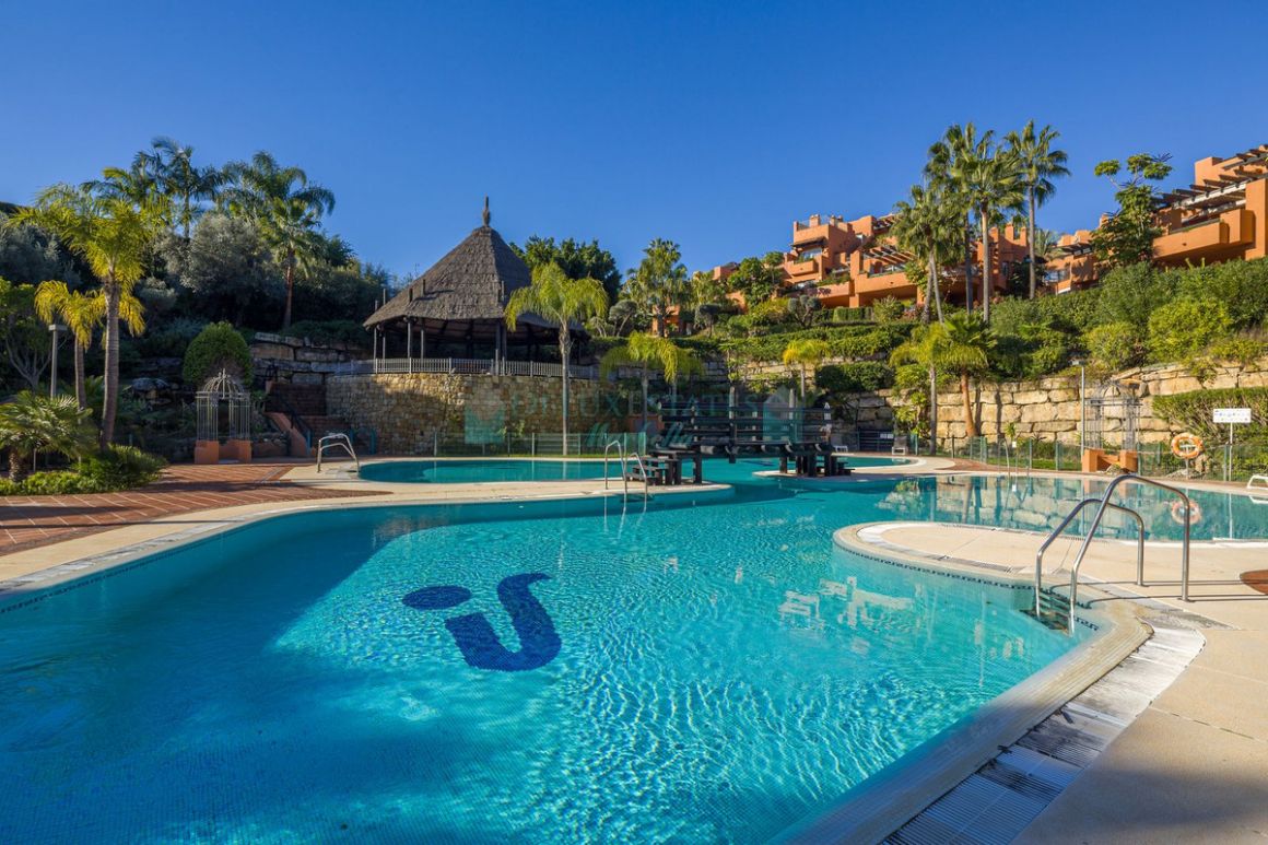 Ground Floor Apartment for sale in Nueva Andalucia