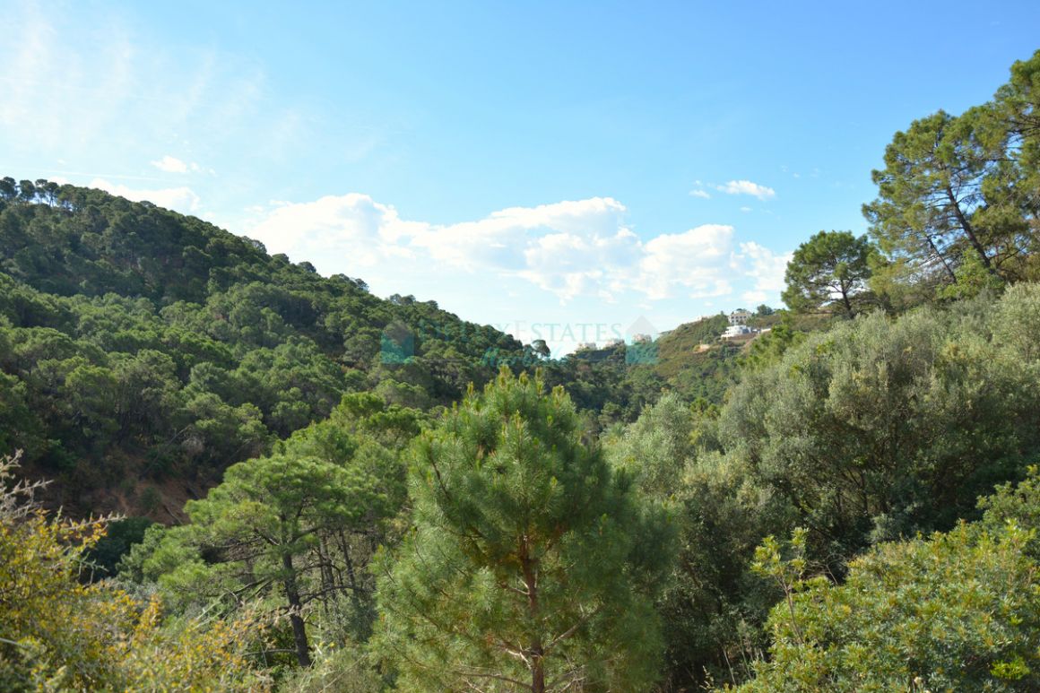 Residential Plot for sale in Benahavis