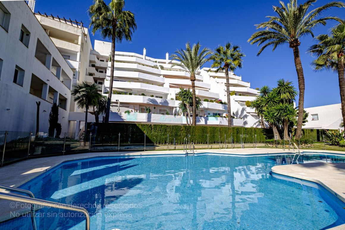 Apartment for rent in Nueva Andalucia