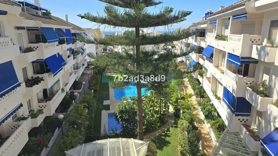 Ático en alquiler en San Pedro de Alcantara