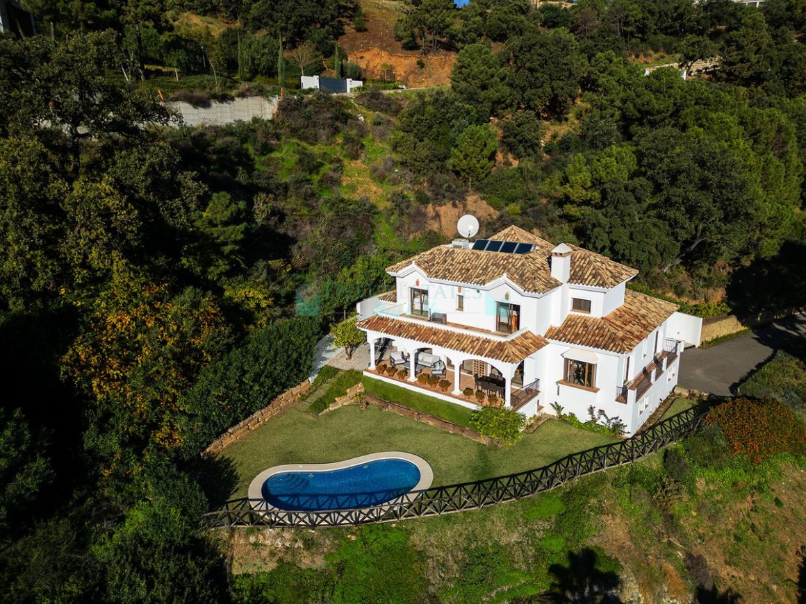 Villa for sale in Benahavis