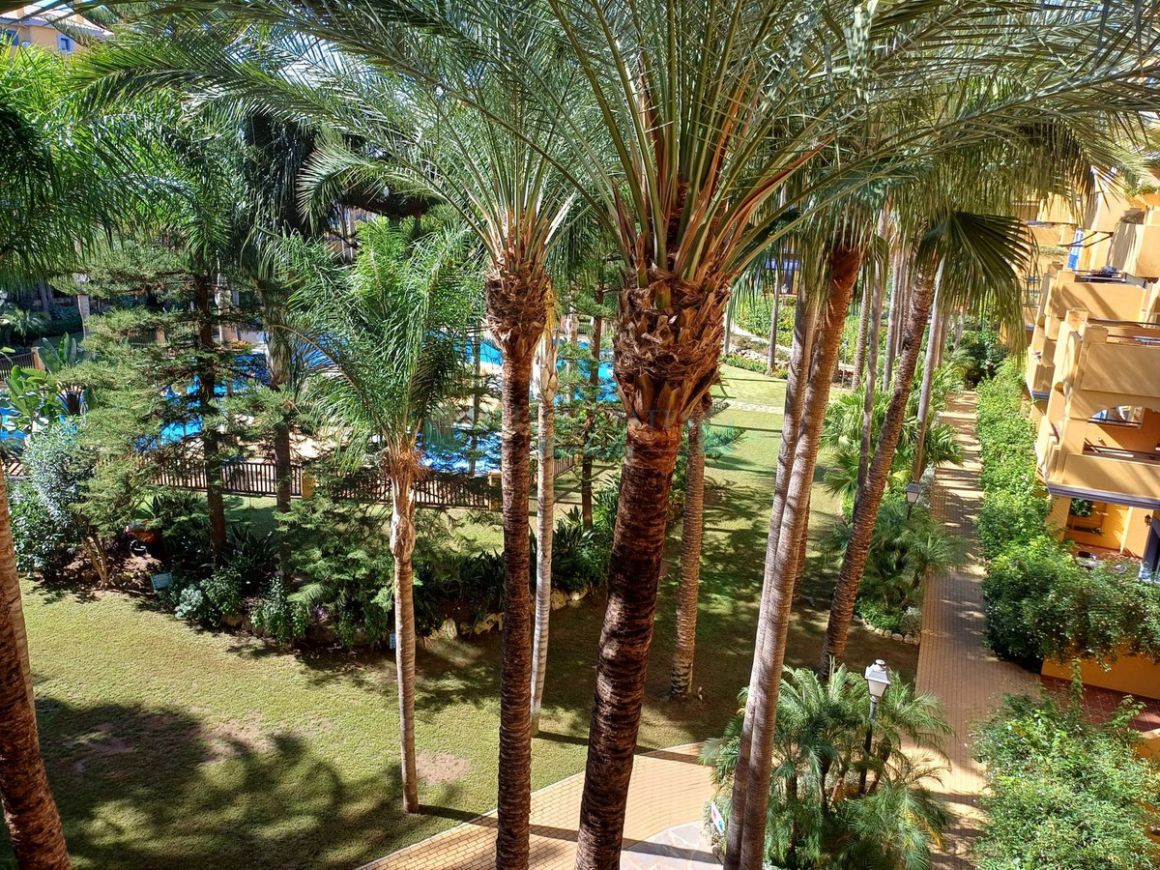 Apartamento en alquiler en San Pedro de Alcantara