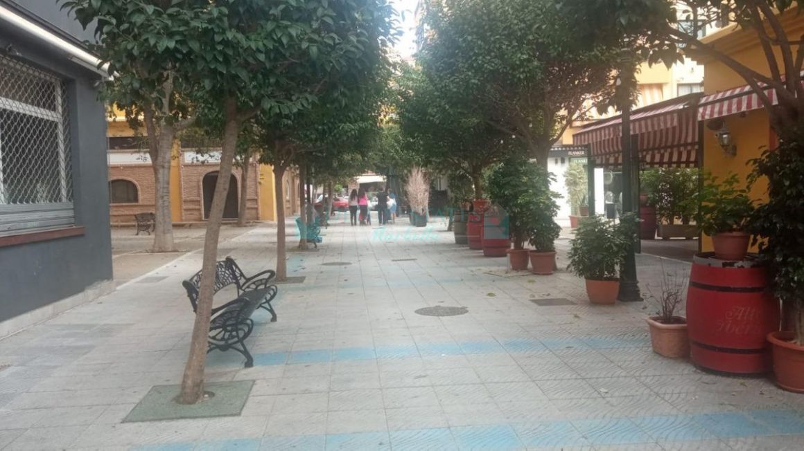 Commercial Premises for sale in San Pedro de Alcantara