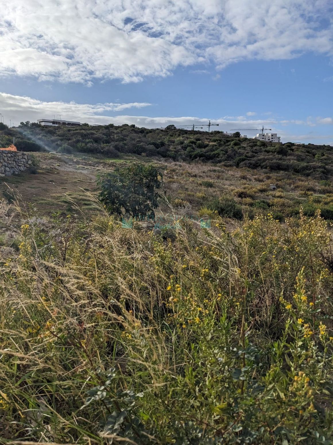 Residential Plot in Estepona