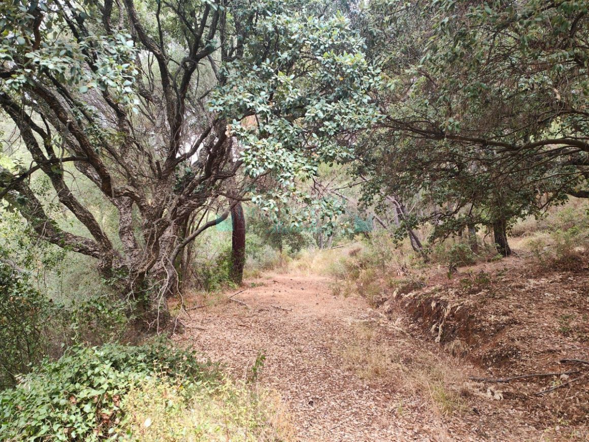 Plot for sale in Istan