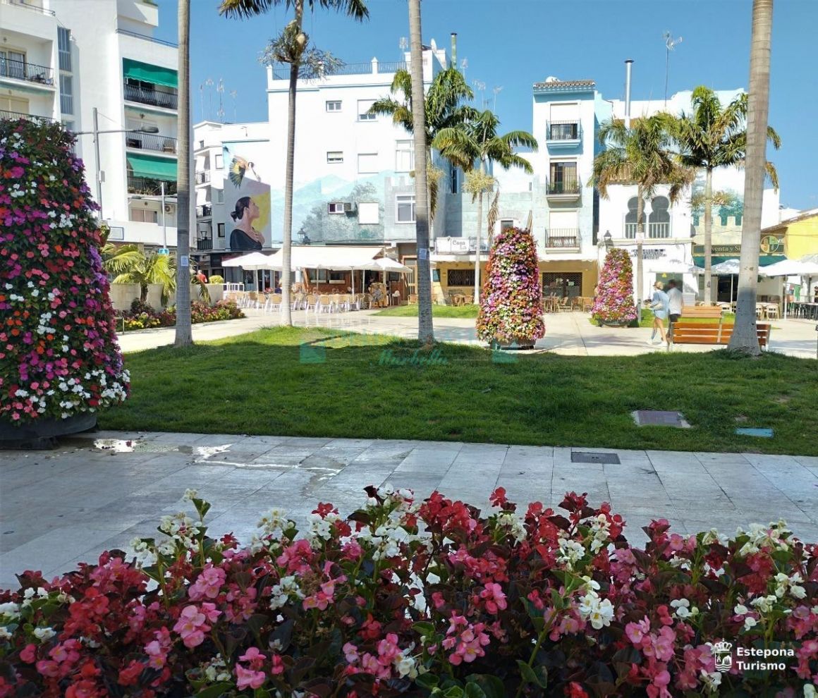 Apartment in Estepona