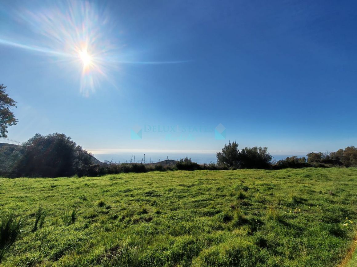 Plot in Marbella