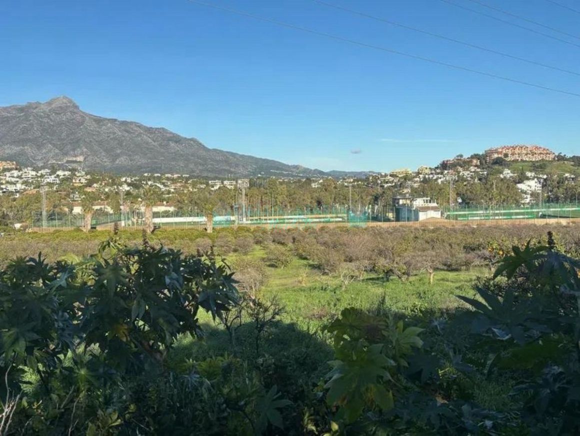 Plot for sale in San Pedro de Alcantara