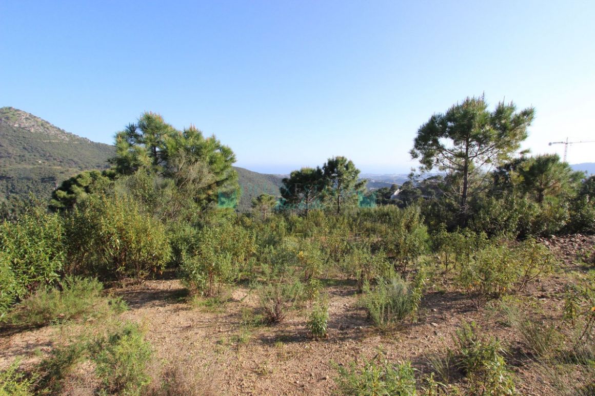 Residential Plot in Benahavis