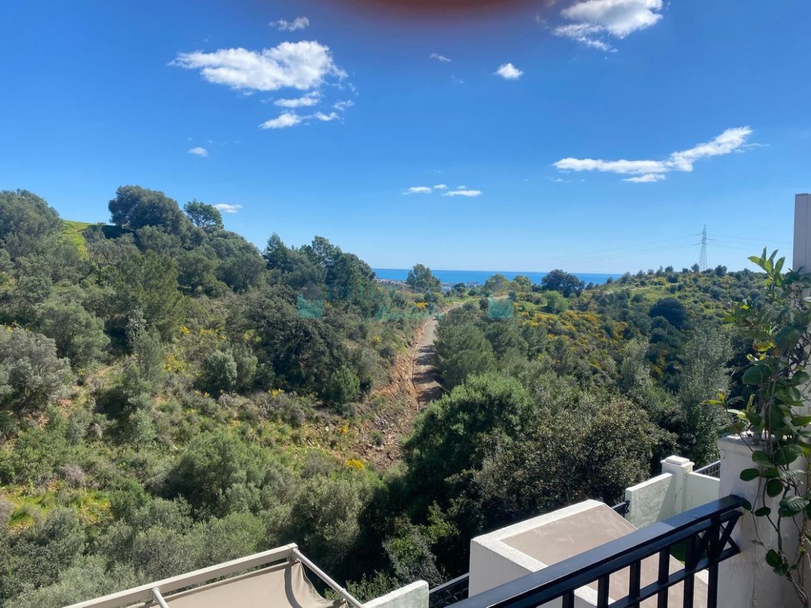 Ground Floor Apartment in Marbella