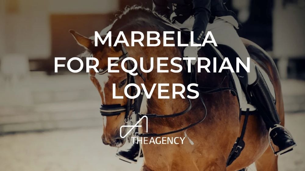closeup image of a horse with text overlay