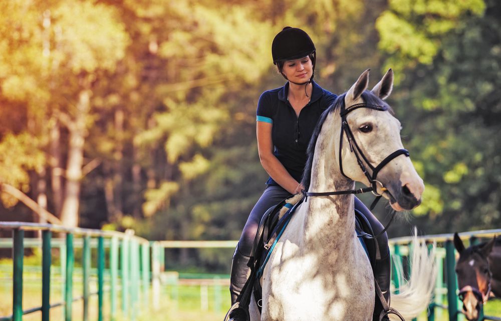 Horse riding clubs in Marbella