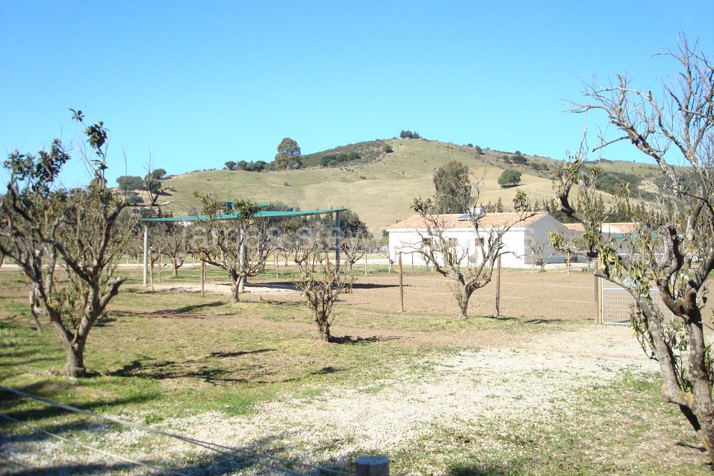 San Martin del Tesorillo, Newly constructed equestrian finca close to Sotogrande with OCA licence
