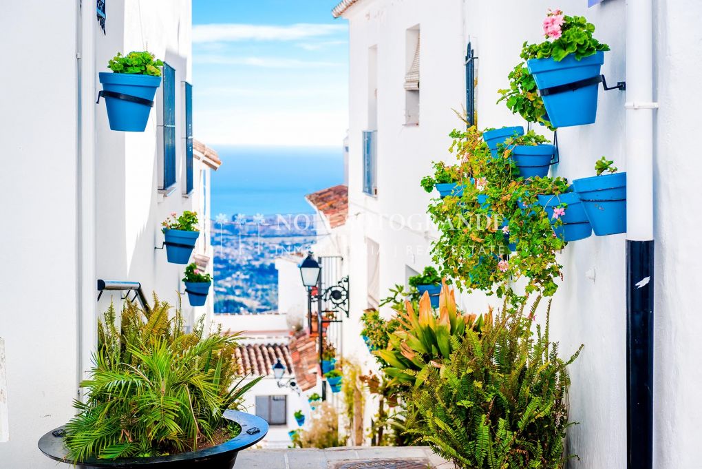 Picturesque street of Mijas with flower pots in facades