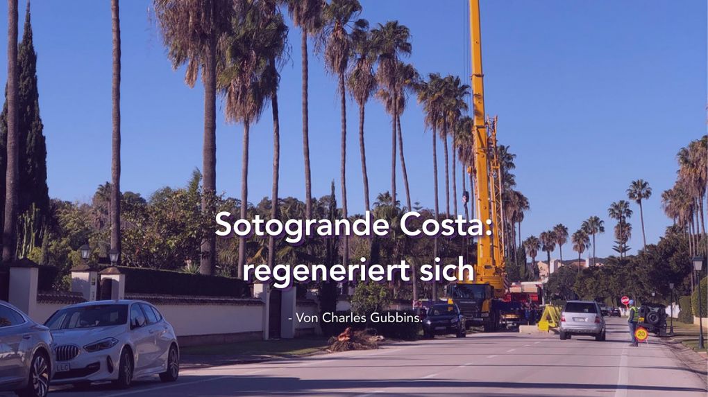 Sotogrande Costa… regeneriert sich