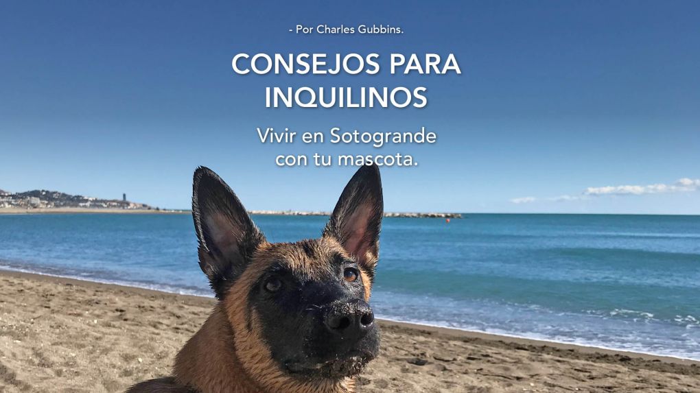 Vivir con tu mascota en Sotogrande