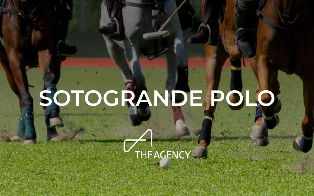 Polo Horses in Sotogrande