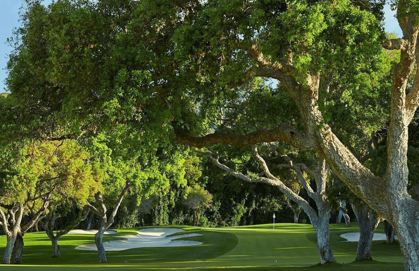 Club de Golf Valderrama