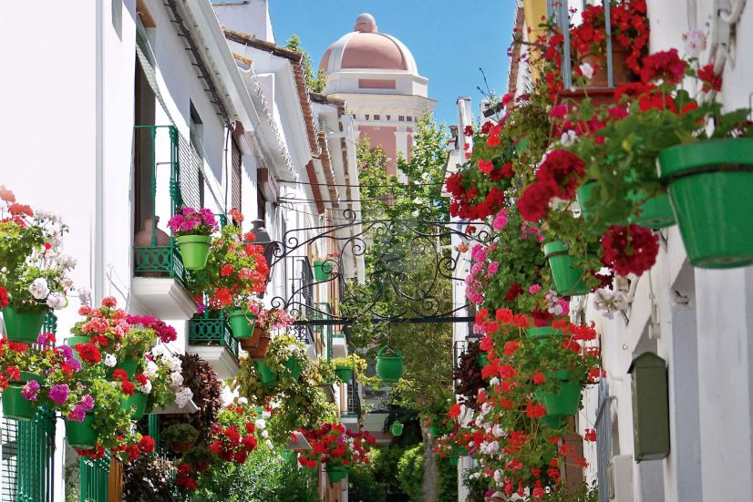 Restaurant in Estepona Old Town, Estepona