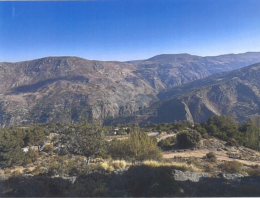Plot in Güejar Sierra
