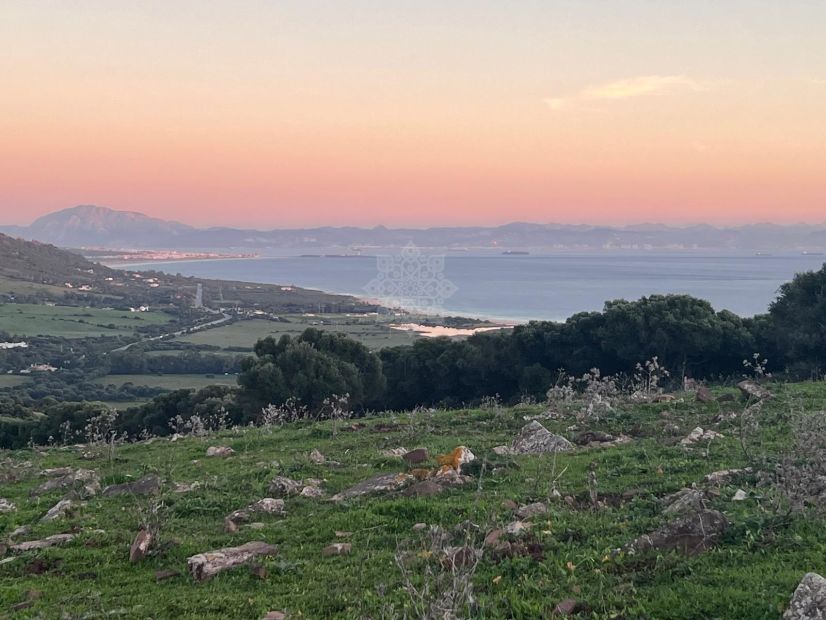 Plot in Tarifa