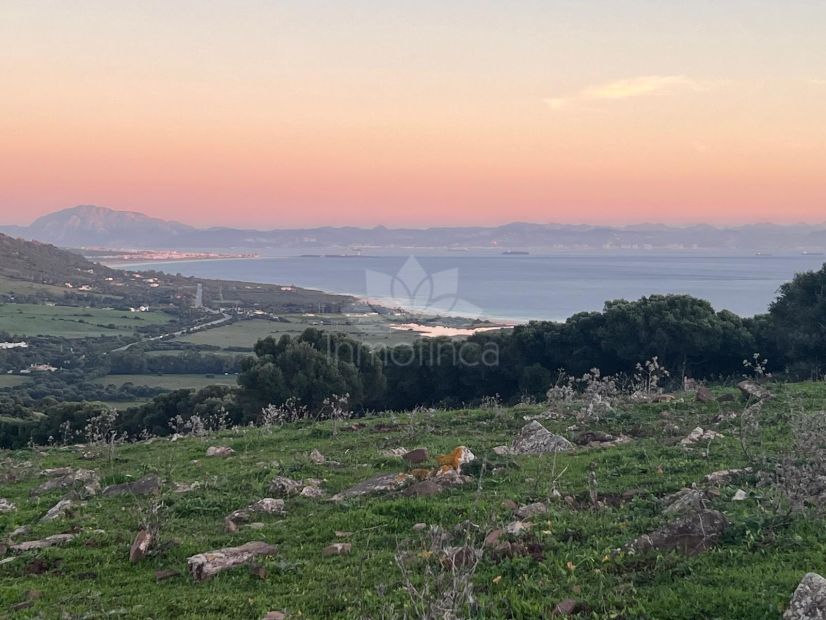 Plot in Tarifa