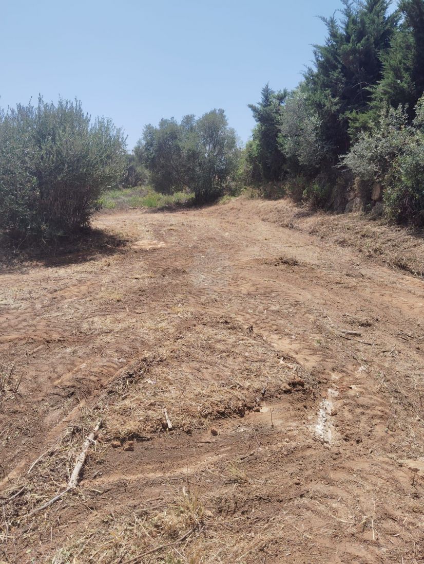 Plot in Sotogrande Alto, Sotogrande