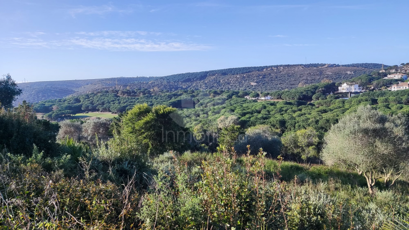 Parcela en Almenara, Sotogrande
