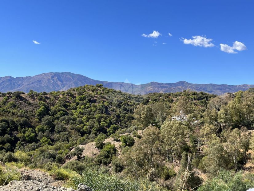 Plot in Selwo, Estepona