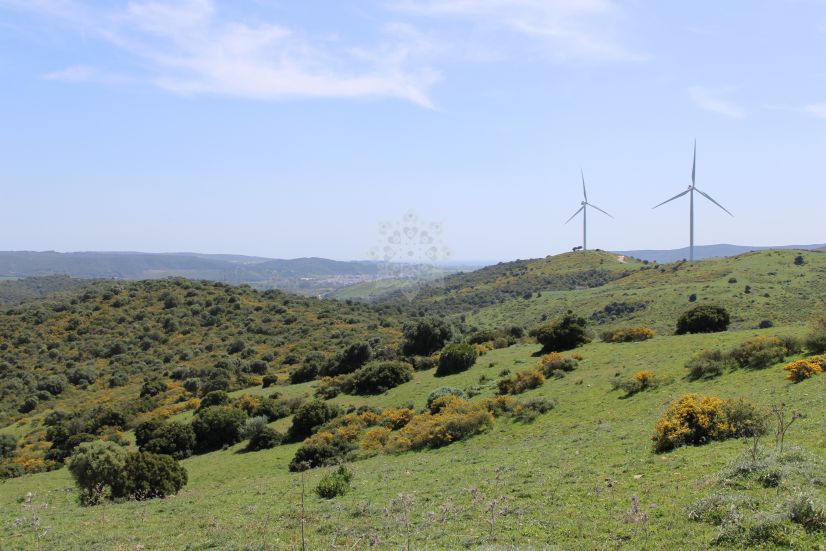 Parcela en San Martin del Tesorillo