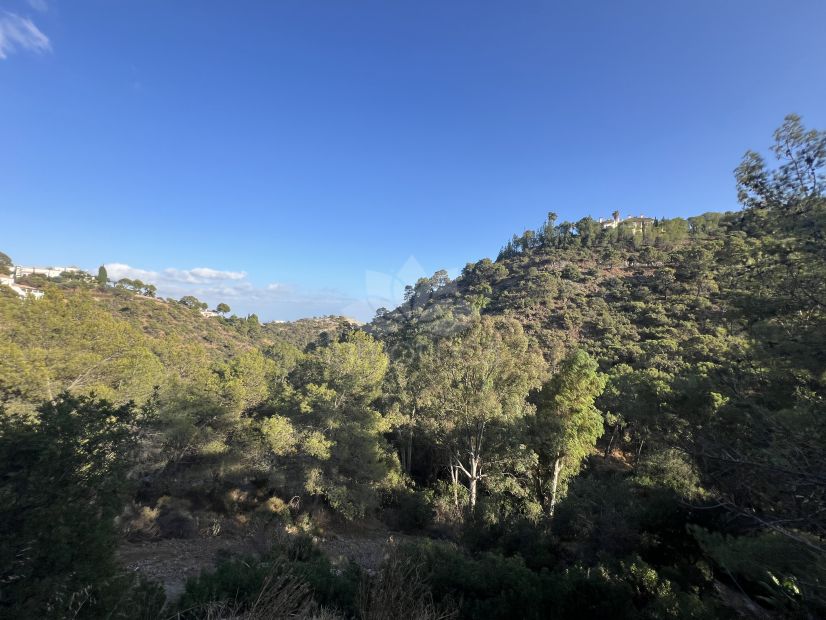 Parcela en El Madroñal, Benahavis