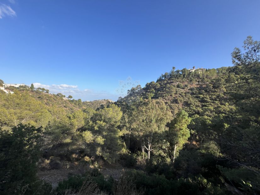 Parcela en El Madroñal, Benahavis