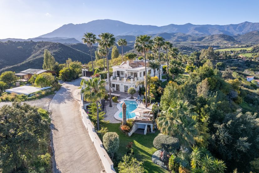 Villa in El Padron, Estepona