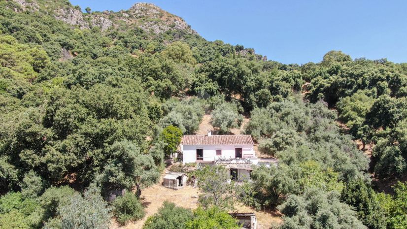 Finca in Casares