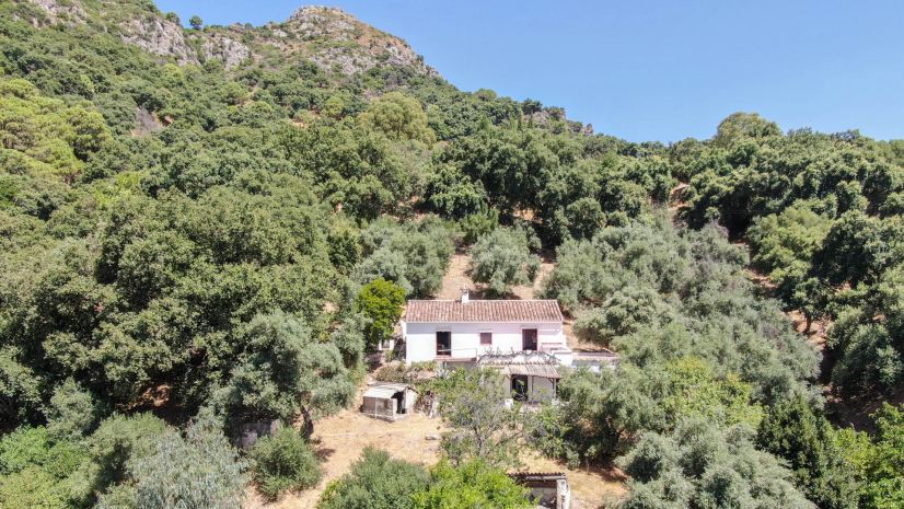 Finca en Casares
