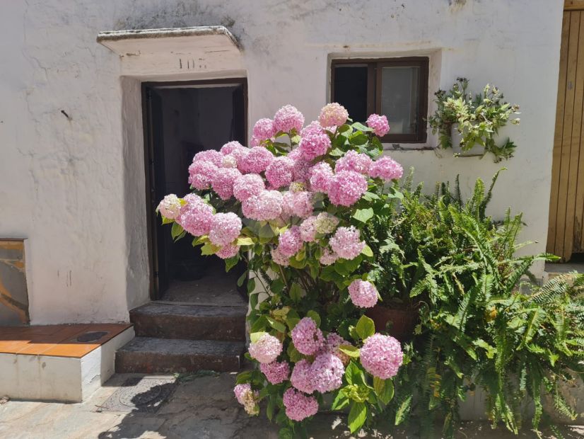 Casa en Pueblo, Casares