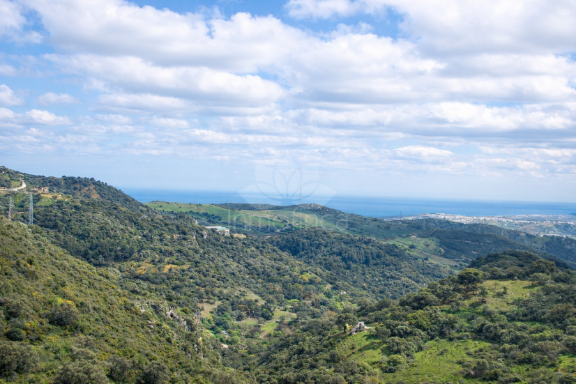 House in Casares Pueblo, Casares