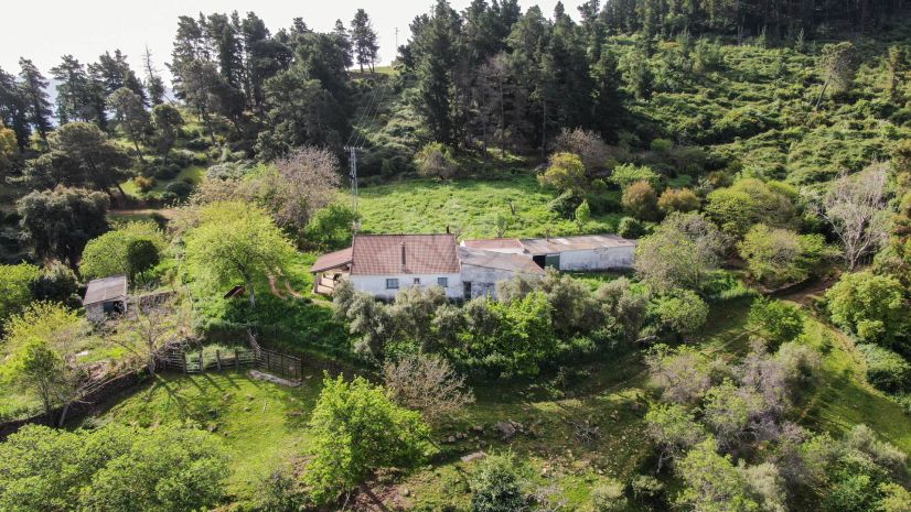 Finca en Gaucin