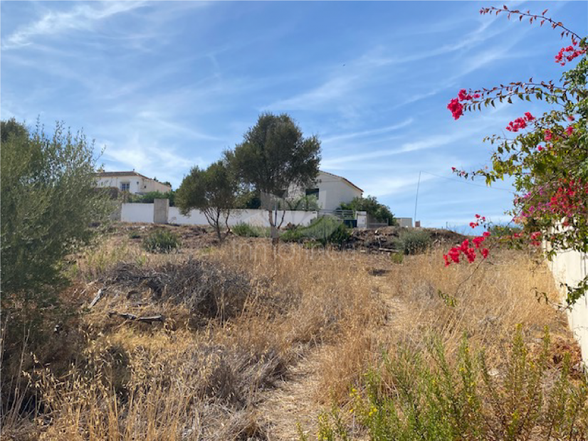 Plot in Estepona