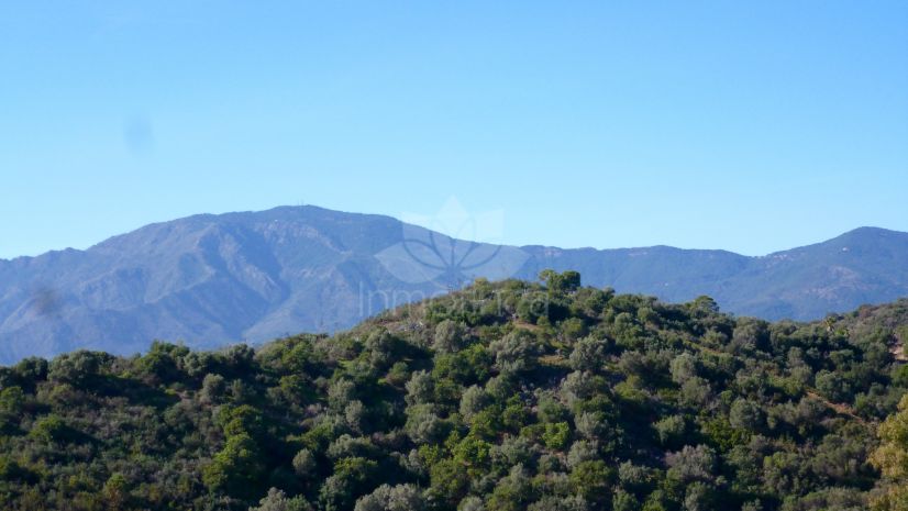 Plot in New Golden Mile, Estepona