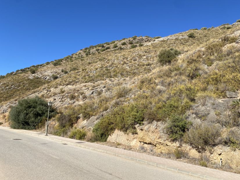 Parcela en Sierra Gorda, Coin