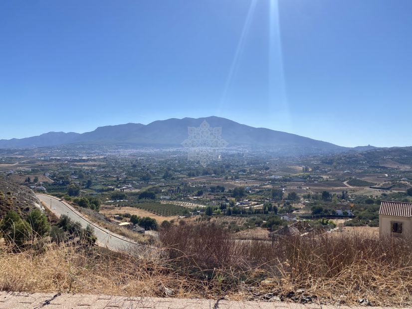 Plot in Sierra Gorda, Coin