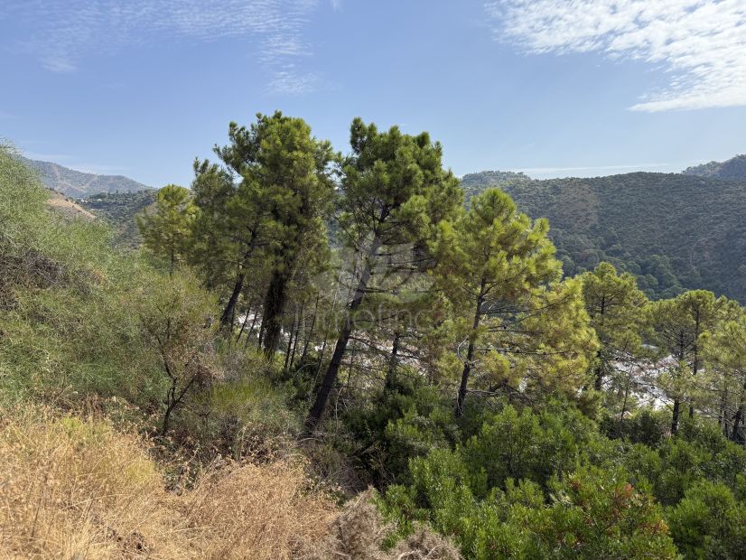 Parcela en Benahavis Centro, Benahavis