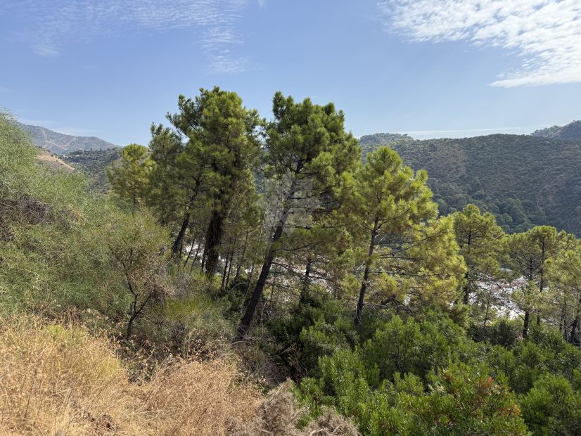 Parcela en Benahavis Centro, Benahavis