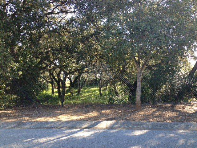 Plot in Sotogrande Alto Central, Sotogrande