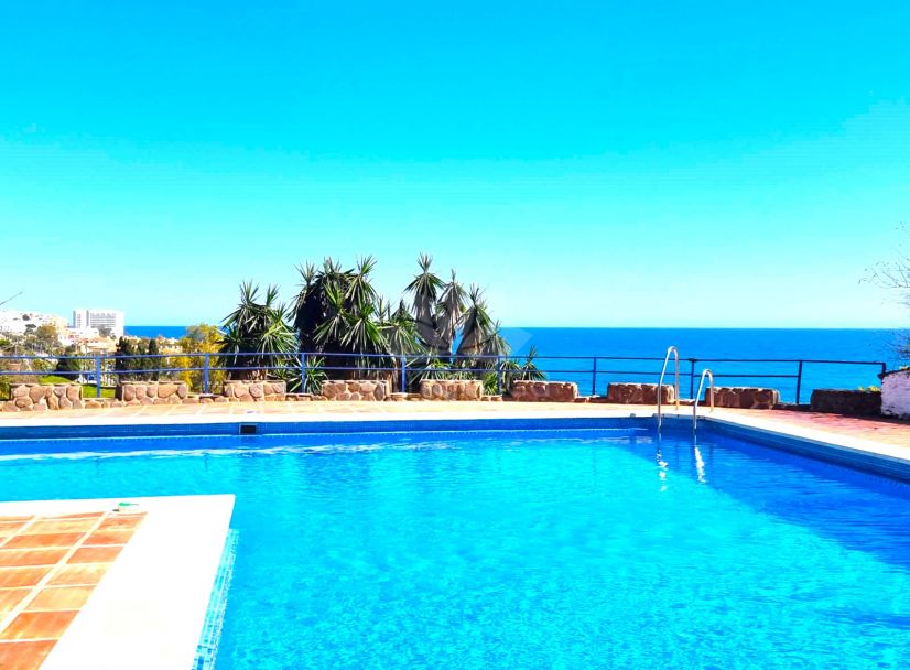 Pareado en Benalmadena