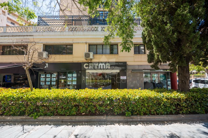 Commercial Premises in Ricardo Soriano, Marbella