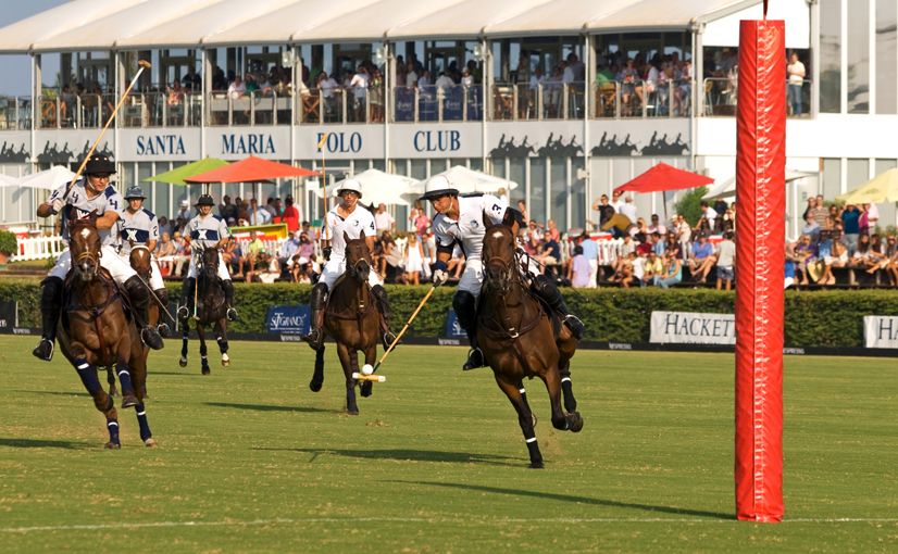 BDED4R Polo player with ball on the end of stick heading for the goal, Santa Maria Polo Club,Sotogrande, Cadiz, Andalucia, Spain